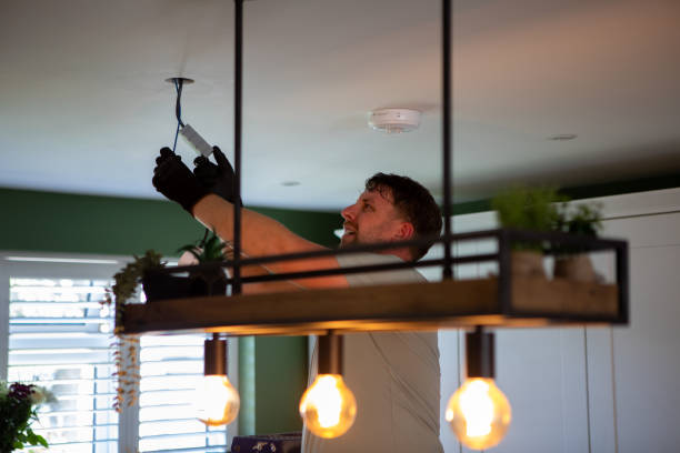 Best Residential Electrician Services  in Princeton, TX
